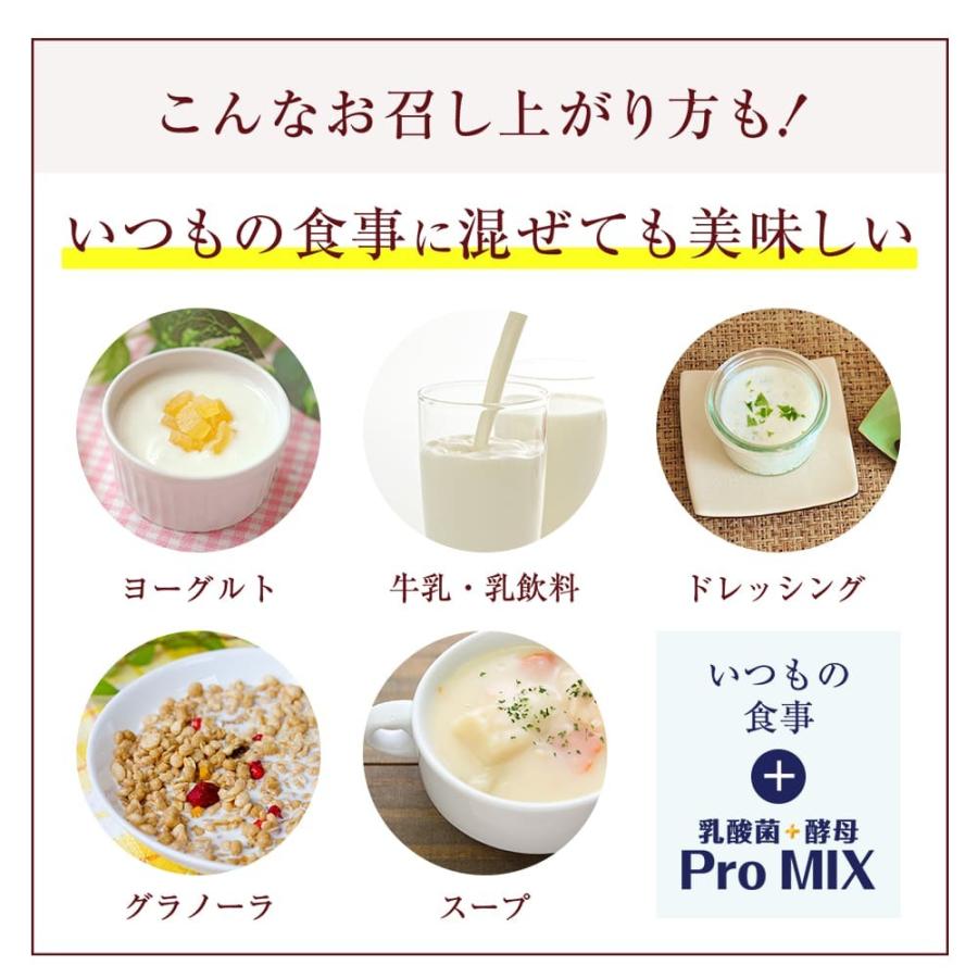 ケフラン 乳酸菌 サプリ 乳酸菌+酵母 ProMIX 31包 ビタミンD ケフラン 乳酸菌 サプリ 乳酸菌+酵母 ProMIX 31包 ビタミンD