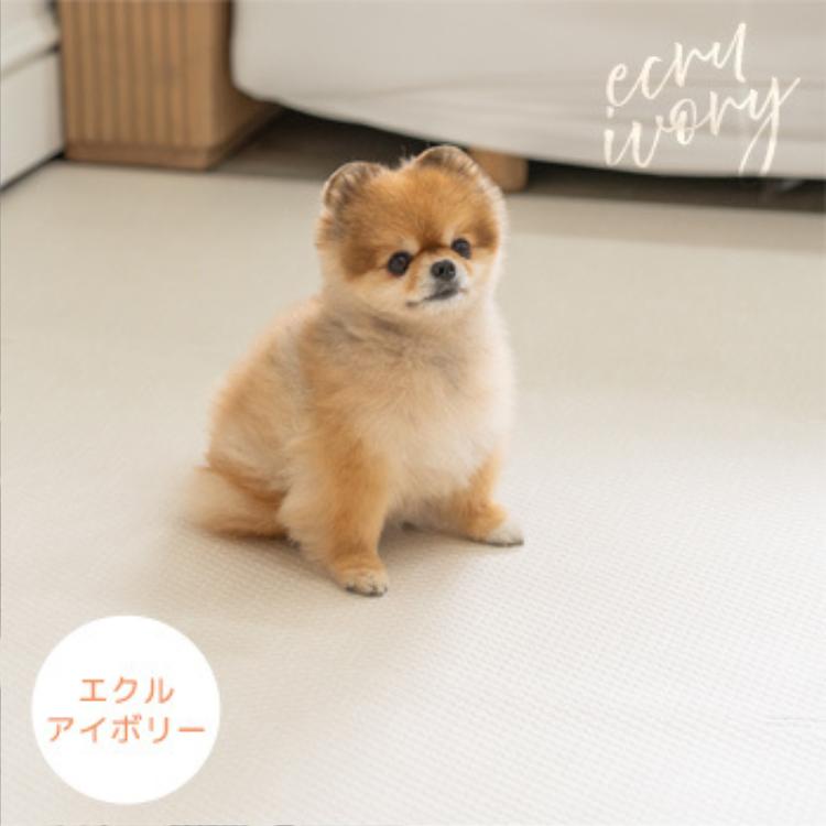 dfang ディパン ペット専用防水クッションマット 抗菌 防水 犬用 ラグ