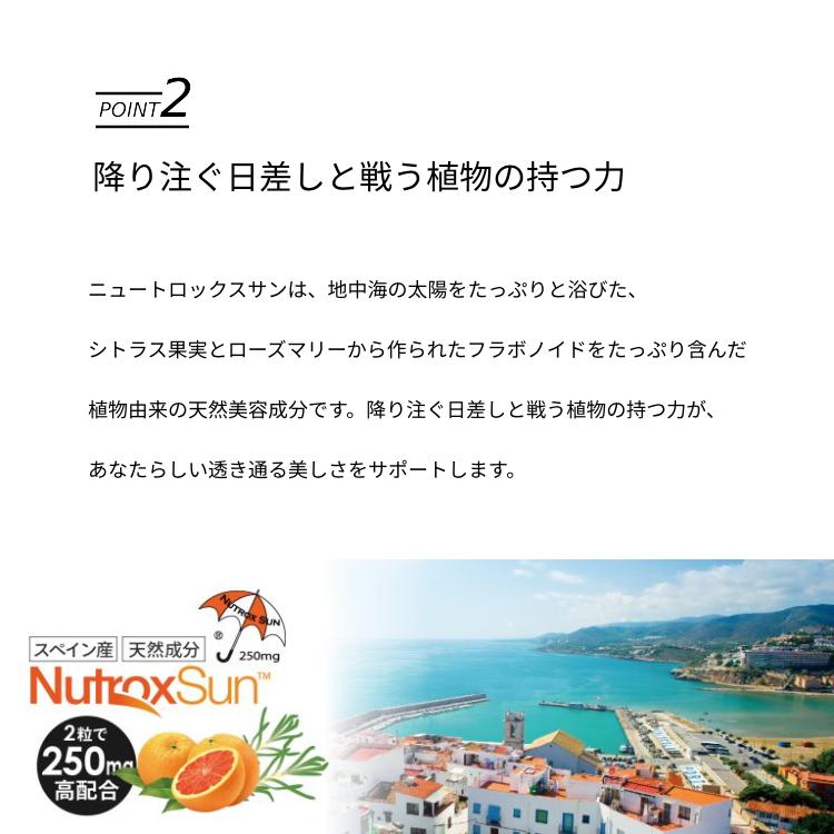 ビーマックス ザ サン 飲む 30粒×3個セット 1個¥2873 BE-MAX ビーマックス ザ サン 飲む 30粒×3個セット 1個¥2873 BE-MAX