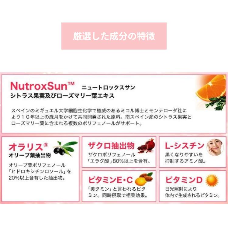 BE-MAX the SUN AA+ 250mg 2個セット BE-MAX the SUN AA+ 250mg 2個セット BE-MAX the SUN AA+ 250mg 2