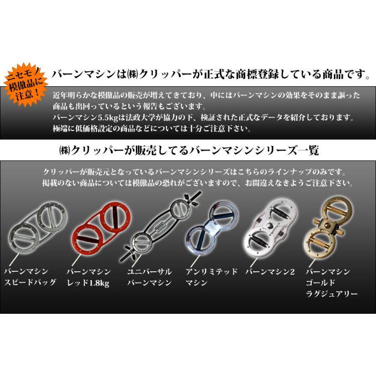 バーンマシン スピードバッグ BURN MACHINE 5.5kg 筋トレ バーンマシン スピードバッグ BURN MACHINE 5.5kg 筋トレ