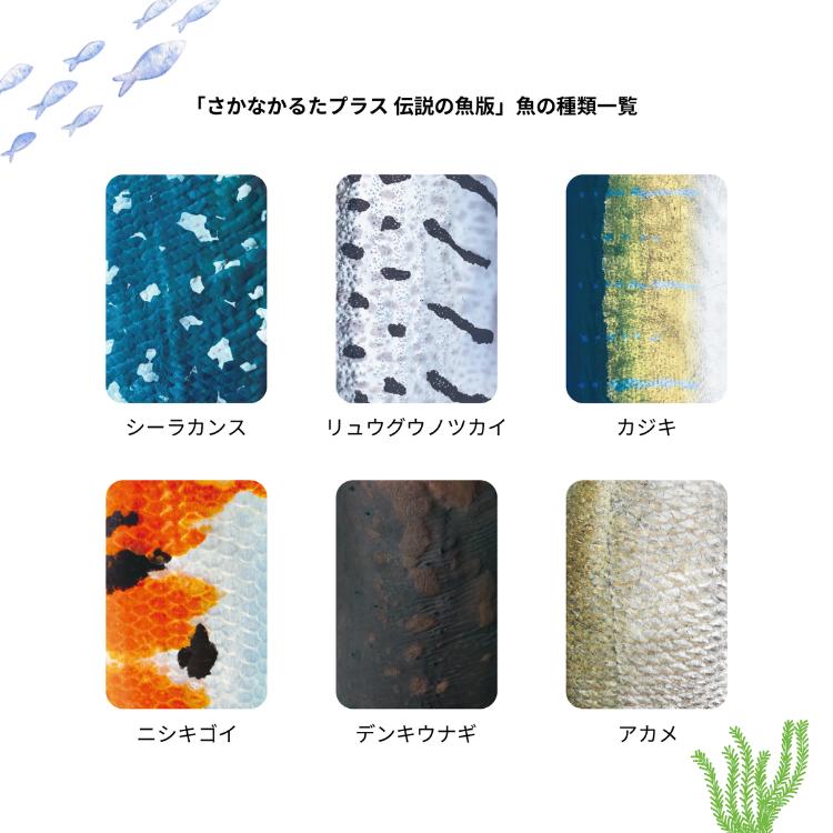 さかなかるた フルセット 通常盤 淡水魚版 伝説の魚版 海の釣魚版
