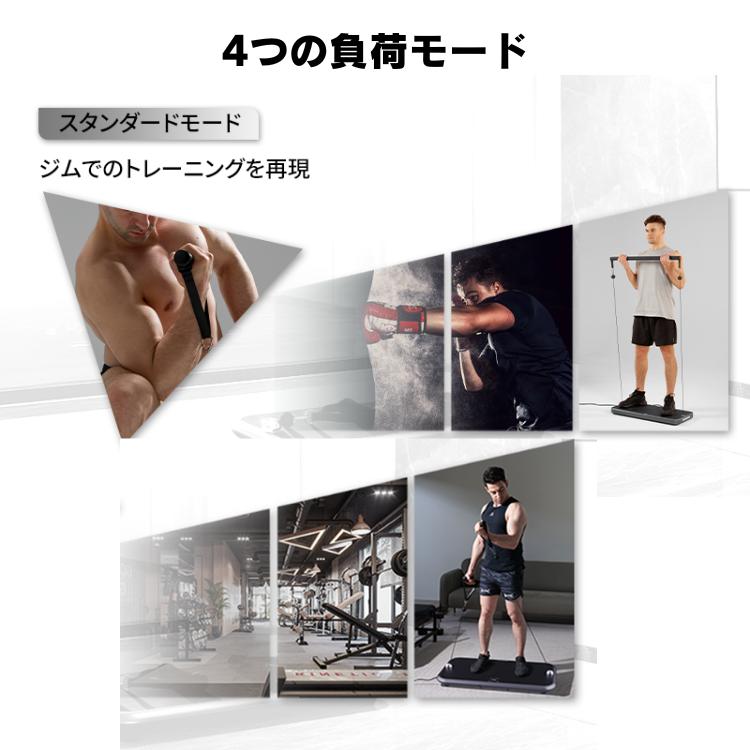 INNODIGYM ホームジムマシン 本体+壁掛けアタッチメント P1 Lite Plus