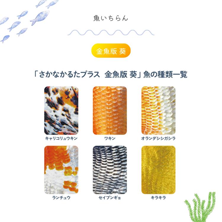さかなかるたプラス 金魚版 桜 葵 2種セット かるた カードゲーム お