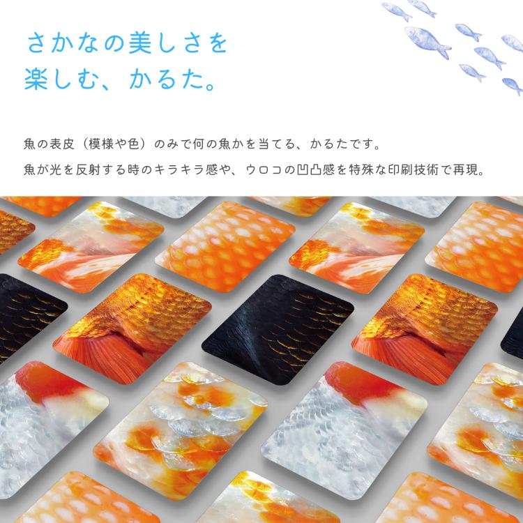 さかなかるたプラス 金魚版 桜 葵 2種セット かるた カードゲーム お