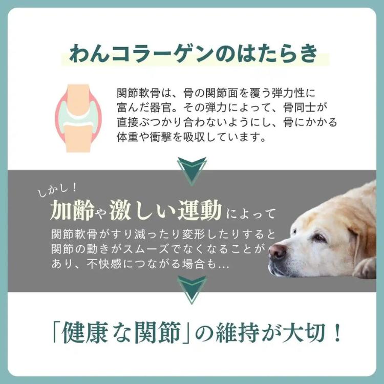 Naturecan 犬用 わんコラーゲン 20ml UC2 オイル ペットの関節ケア 老