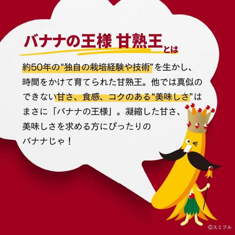 半額処分◆巨大180cmタイの宝石。絶対糖度◆ヌアンジュン＝蜜味。バナナ苗,耐寒 NATURECAN ネイチャーカン ホエイプロテイン WPC 甘熟王 バナナ味 900g