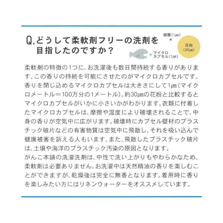 がんこ本舗 海へ Fukii 380g×12個セット 衣類用洗濯洗剤 詰替え フッキー すすぎ不要 すすぎ 詰めかえ 痒み ギフト 贈り物 敏感肌 爆買_10