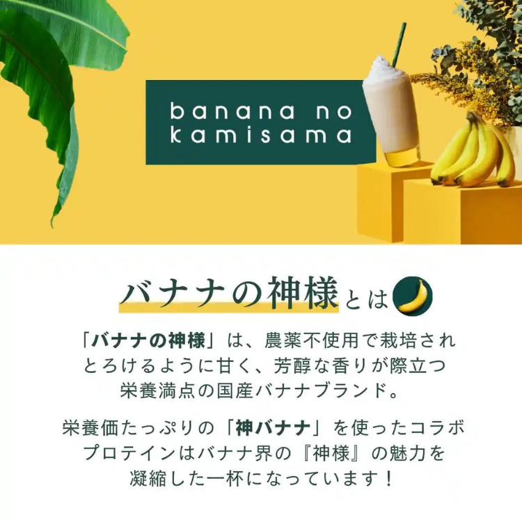 NATURECAN ネイチャーカン ホエイプロテイン WPC 神バナナ味 600g 20