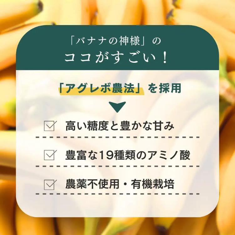 NATURECAN ネイチャーカン ホエイプロテイン WPC 神バナナ味 600g 20