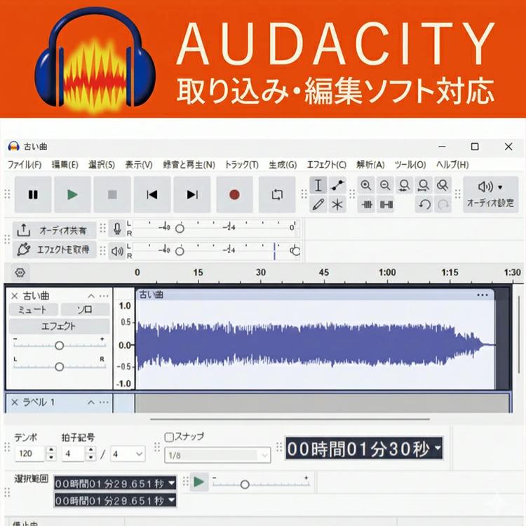 エアリア NEW CASEEPi ニューカセッピ カセットテープ デジタル化