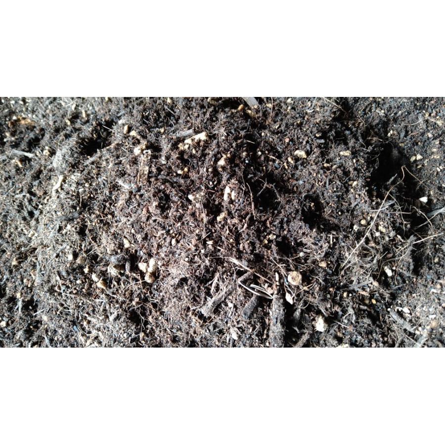 培養土 10l Get Plants オリジナル 植木 花の培養土 園芸 家庭菜園 土 ガーデニング お庭つくりに 園芸用土 Baido10l Get Plants 通販 Yahoo ショッピング