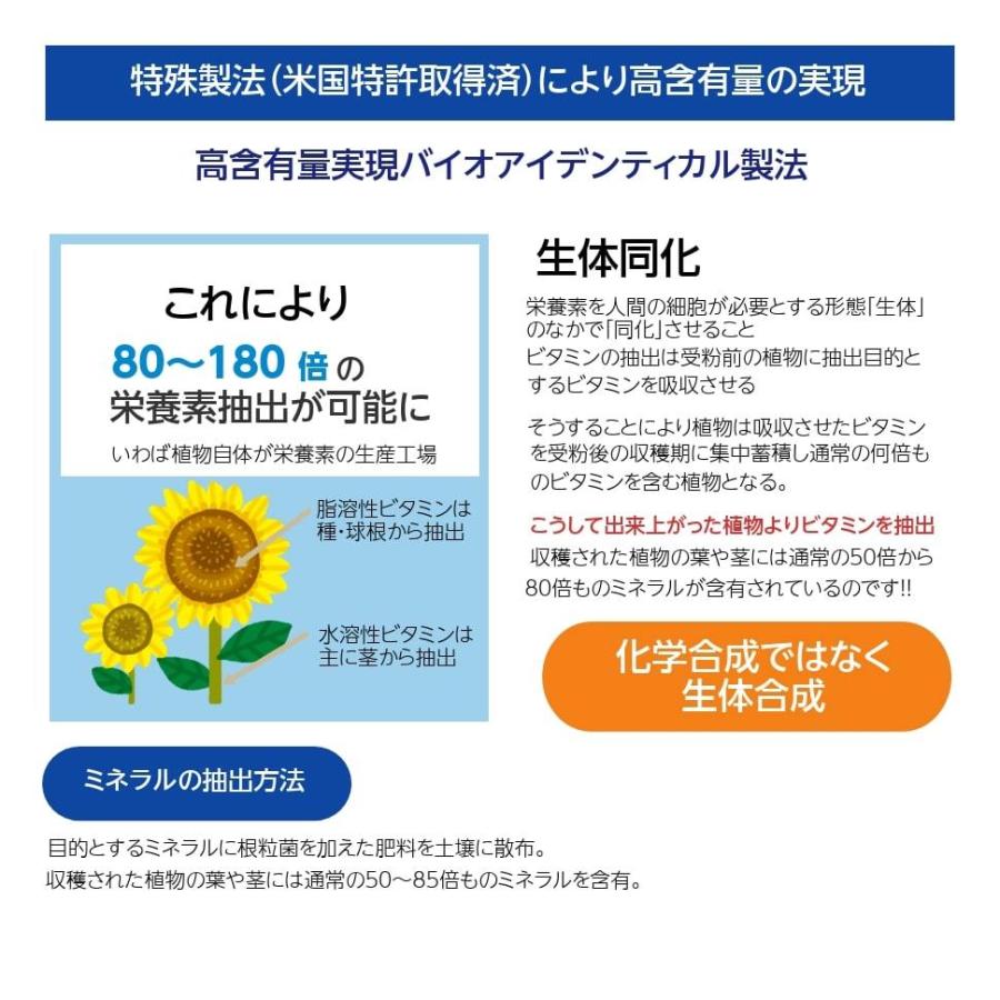 マルチミネラルビタミン ニューサイエンス 180カプセル Kn 001 ケイエスティ Yahoo 店 通販 Yahoo ショッピング