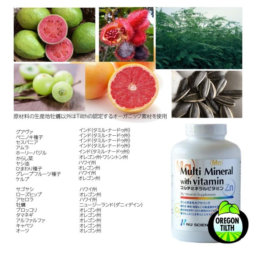 マルチミネラルビタミン ニューサイエンス 180カプセル Kn 001 ケイエスティ Yahoo 店 通販 Yahoo ショッピング