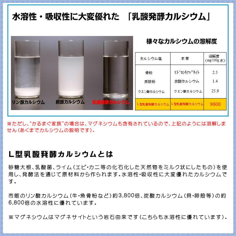 かるまぐ家族 ニューサイエンス 1800粒 粒タイプ カルシウム マグネシウム サプリ｜keiesuty｜05