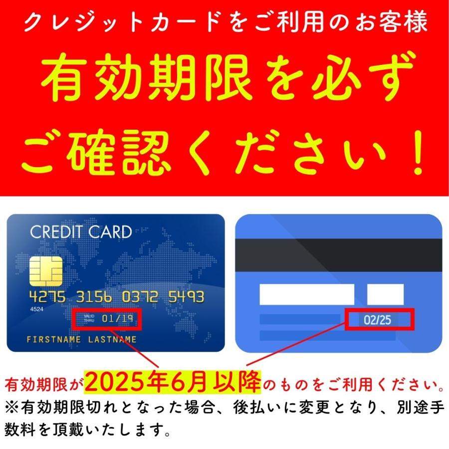 バラ [ シルフィシルフィ ] 秋苗 大苗 ピンク系 四季咲 京阪園芸 F&G