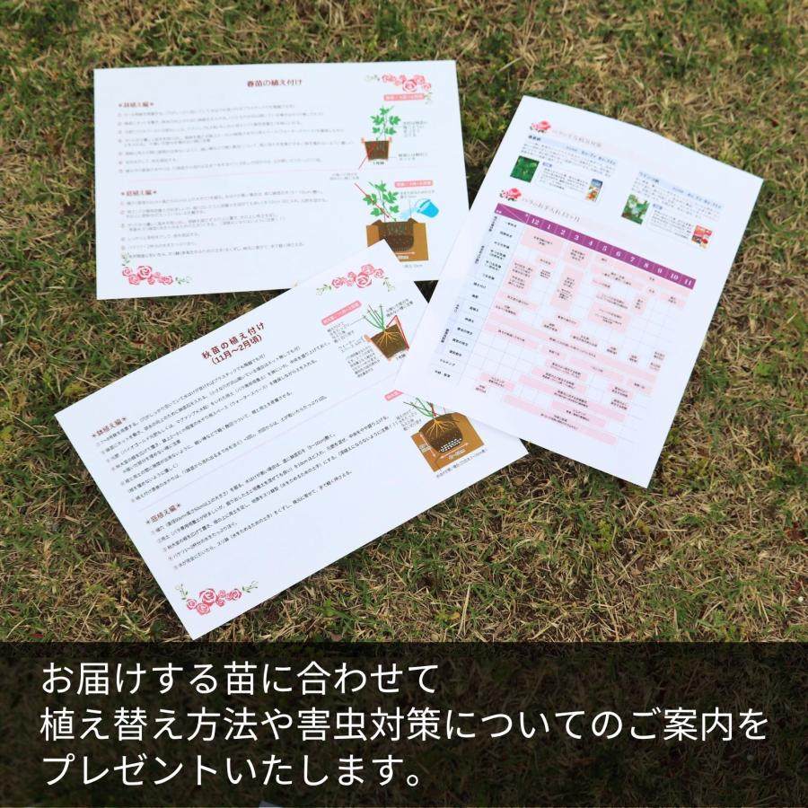 &ねこ大好きさん専用纏め　薔薇のカット&ステンシルピンクの木製2段とスリムラック 猫柄 オープンラック 通販【ニッセン】