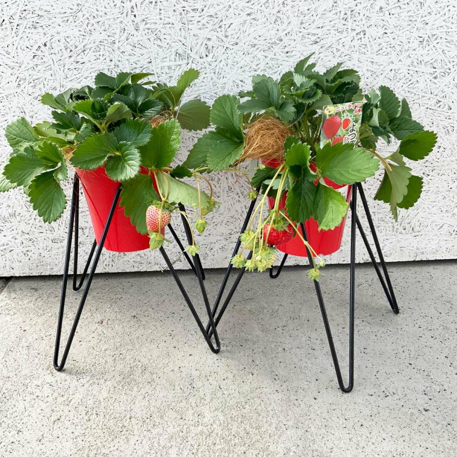 鉢スタンド ベルツモア ジャパン製 8号植木鉢用スタンド マジック