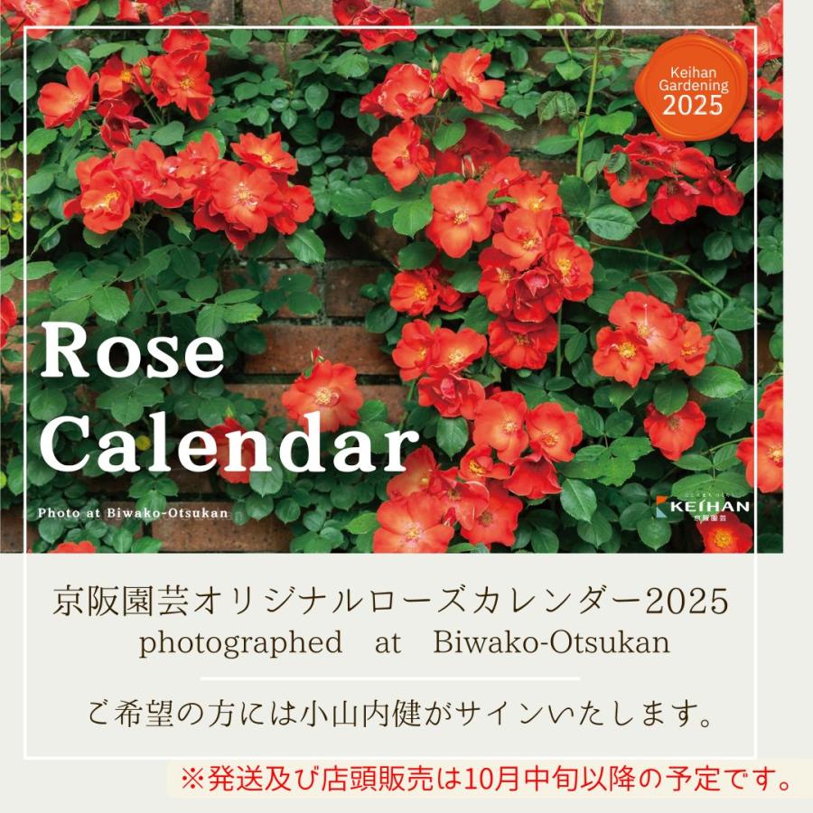 2025年カレンダー 京阪園芸オリジナル ローズカレンダー 2025 ROSE CALENDAR 2025 10月中旬入荷予定 入荷次第発送