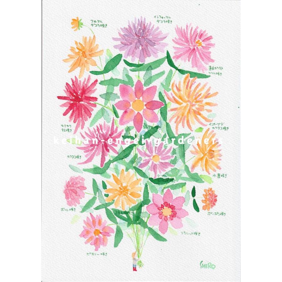 イラストレーター 藤川志朗 ダリアの花束 絵画 アート 1点物 ハンドメイド 京阪園芸 Paypayモール店 通販 Paypayモール