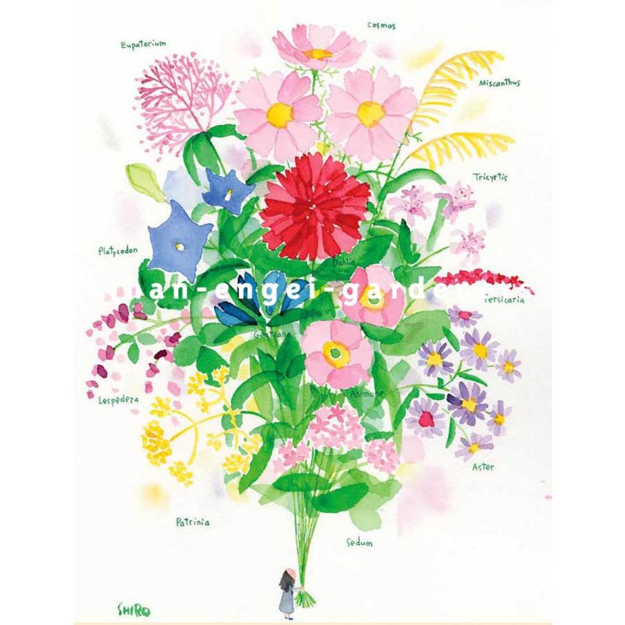 イラストレーター 藤川志朗 秋の花束 絵画 アート 1点物 ハンドメイド 京阪園芸 Paypayモール店 通販 Paypayモール