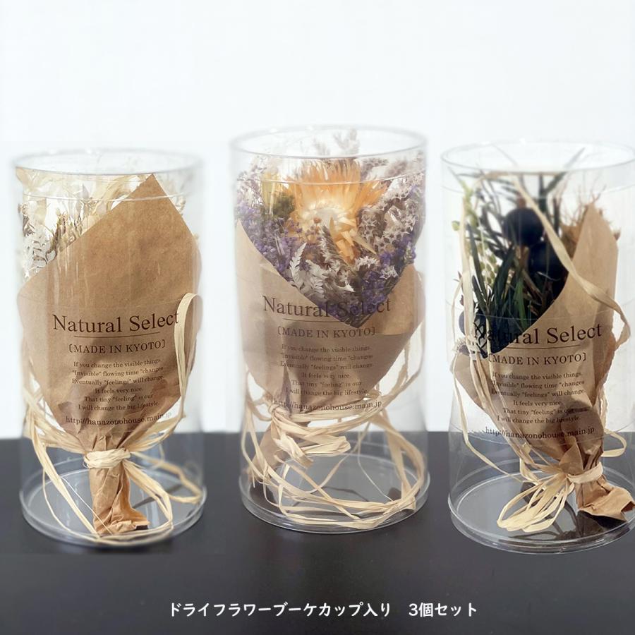 Sale Off ドライフラワーブーケ カップ入り 3個セット ナチュラル おしゃれ ハナゾノハウス Wantannas Go Id