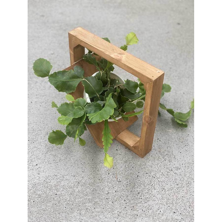 ウォルナッ ウッドプランター スクエアl ハナゾノハウス 木材 ハンドメイド おしゃれ 植木鉢 ハンドメイド雑貨 プランターラック ハンギング 京阪園芸 Paypayモール店 通販 Paypayモール スプルース