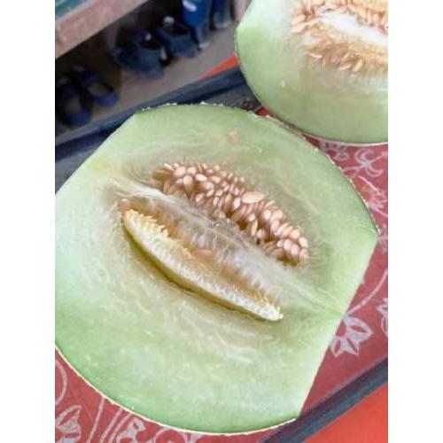 メロン 京丹後市産メロン「ゆめろん」青玉セット2玉セット | NSPR SHOP