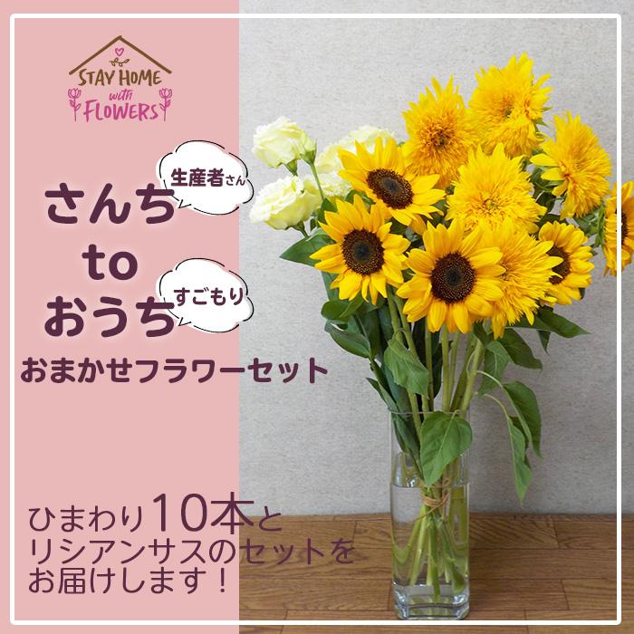 切り花 ひまわりmix リシアンサス おまかせ ヒマワリ 生産者応援 おうちフラワー ギフト プレゼント Omakase Himawari 京阪園芸ガーデナーズ ヤフー店 通販 Yahoo ショッピング