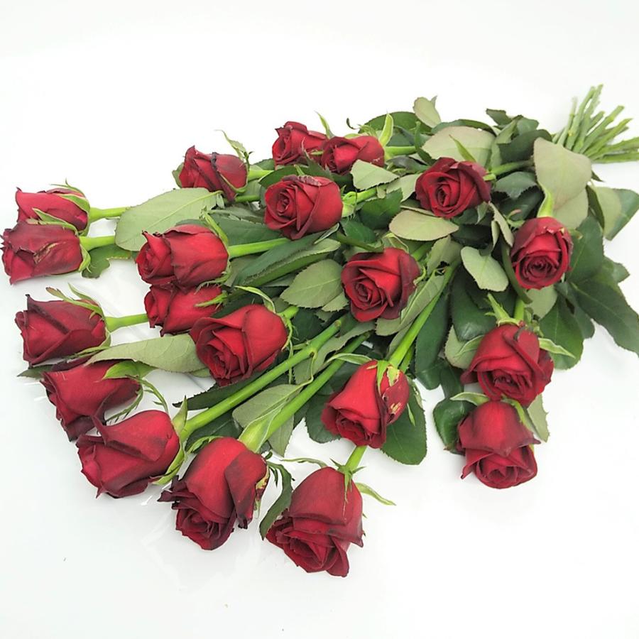 切り花 バラの花束 薔薇 ブーケ プレゼント ギフト クリスマス 京阪園芸 Paypayモール店 通販 Paypayモール