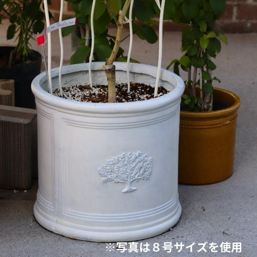 ラウンドポット フォレスト　8号×1  7号×3 軽量　グラスファイバーポット　鉢　 ラウンドポット フォレスト 8号サイズ 植木鉢 色が選べる ファイバー鉢