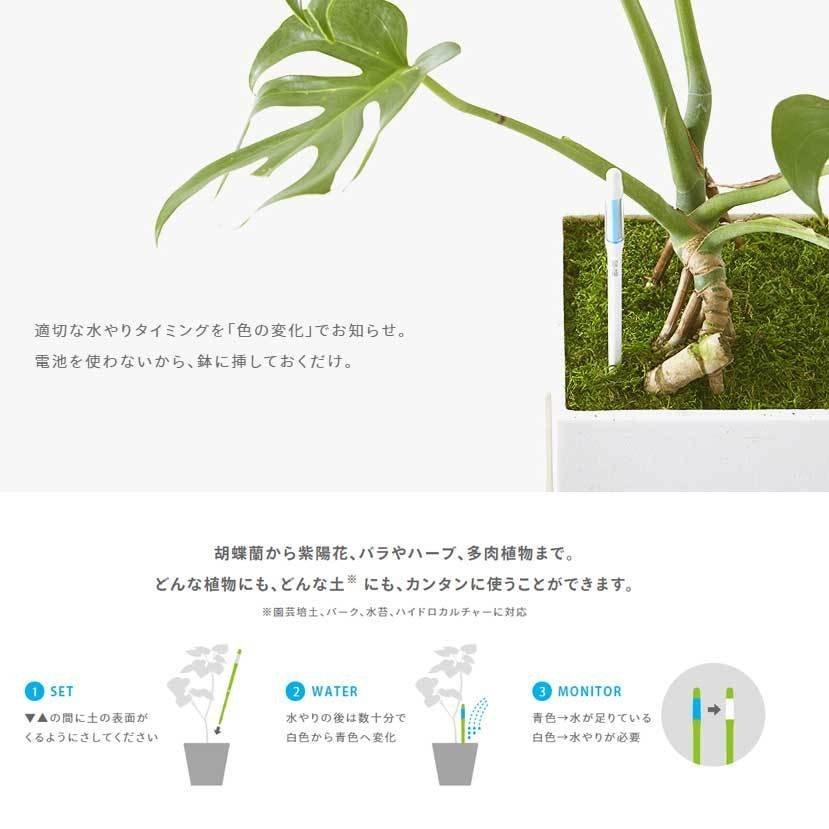 メール便送料280円 キャビノチェ Sustee 水やりチェッカー サスティー Lサイズ 観葉植物 植物用 育て方 京阪園芸 Paypayモール店 通販 Paypayモール