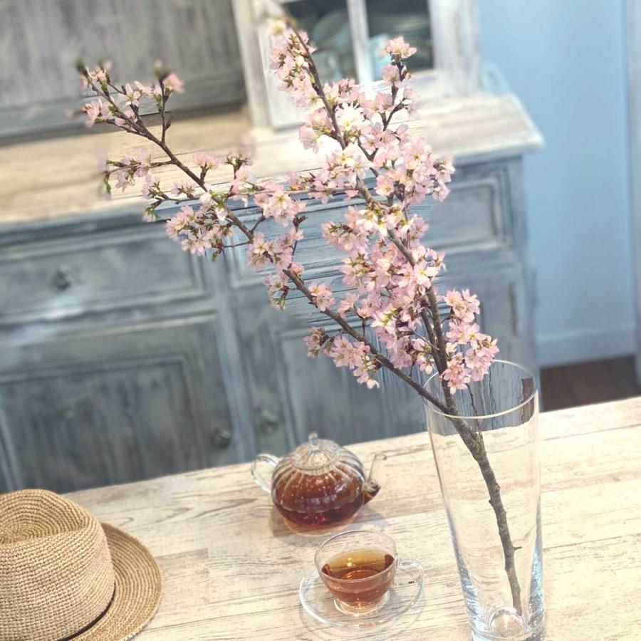 桜 切り花 啓翁桜 けいおうざくら おうち花見 生花 さくら 5本 6本 100cm Sakura 30 京阪園芸ヤフー店 通販 Yahoo ショッピング