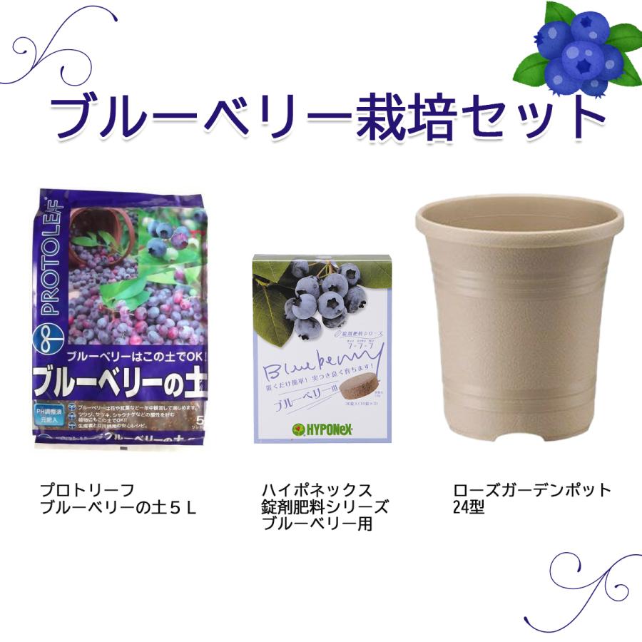 ブルーベリー栽培セット ブルーベリーの土 肥料 ローズガーデンポット Set Blueberry 京阪園芸ヤフー店 通販 Yahoo ショッピング