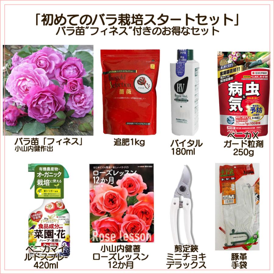 初めてのバラ栽培スタートセット バラ苗 フィネス 肥料 薬 書籍 はさみ 手袋 8点セット 園芸資材 Set Finessstart 京阪園芸ガーデナーズ ヤフー店 通販 Yahoo ショッピング