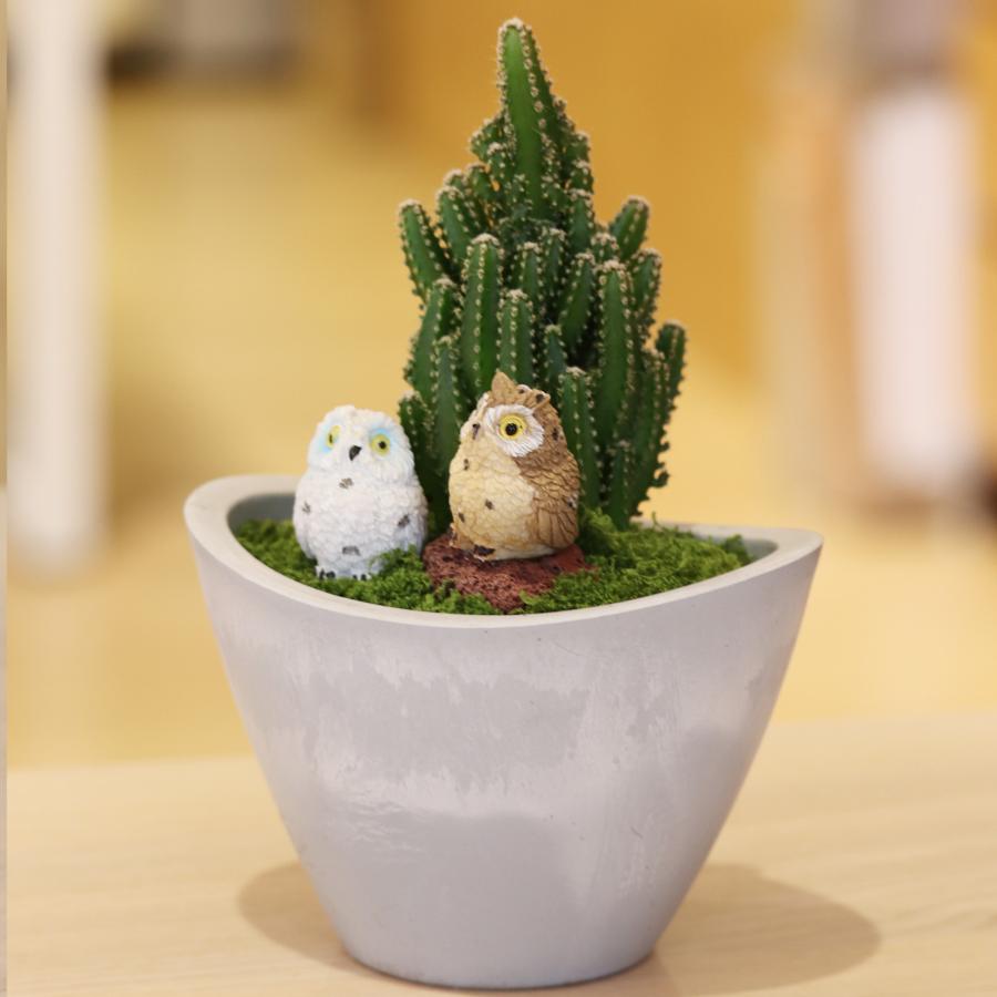セレウスサボテンアレンジ G-14 アニマルフィギュアが選べる 器の色が選べる インテリア 多肉植物 サボテン 送料無料 寄せ植え ギフト |  | 03