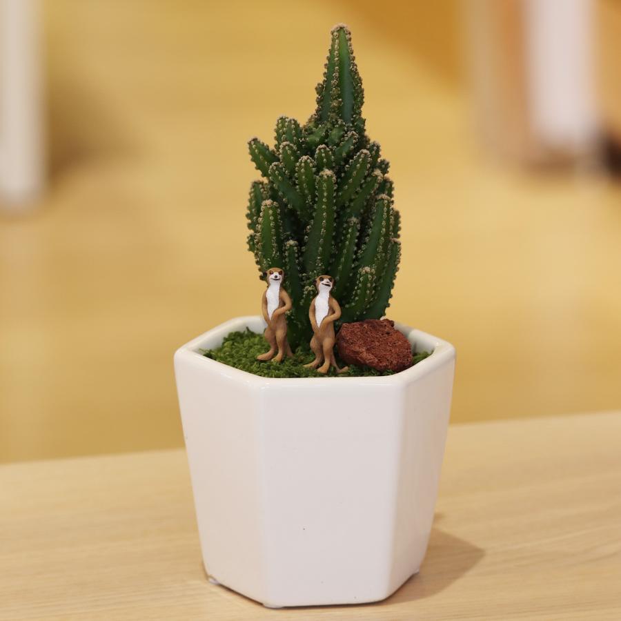 セレウスサボテンアレンジ G-15 アニマルフィギュアが選べる インテリア 多肉植物 サボテン 送料無料 寄せ植え ギフト | 