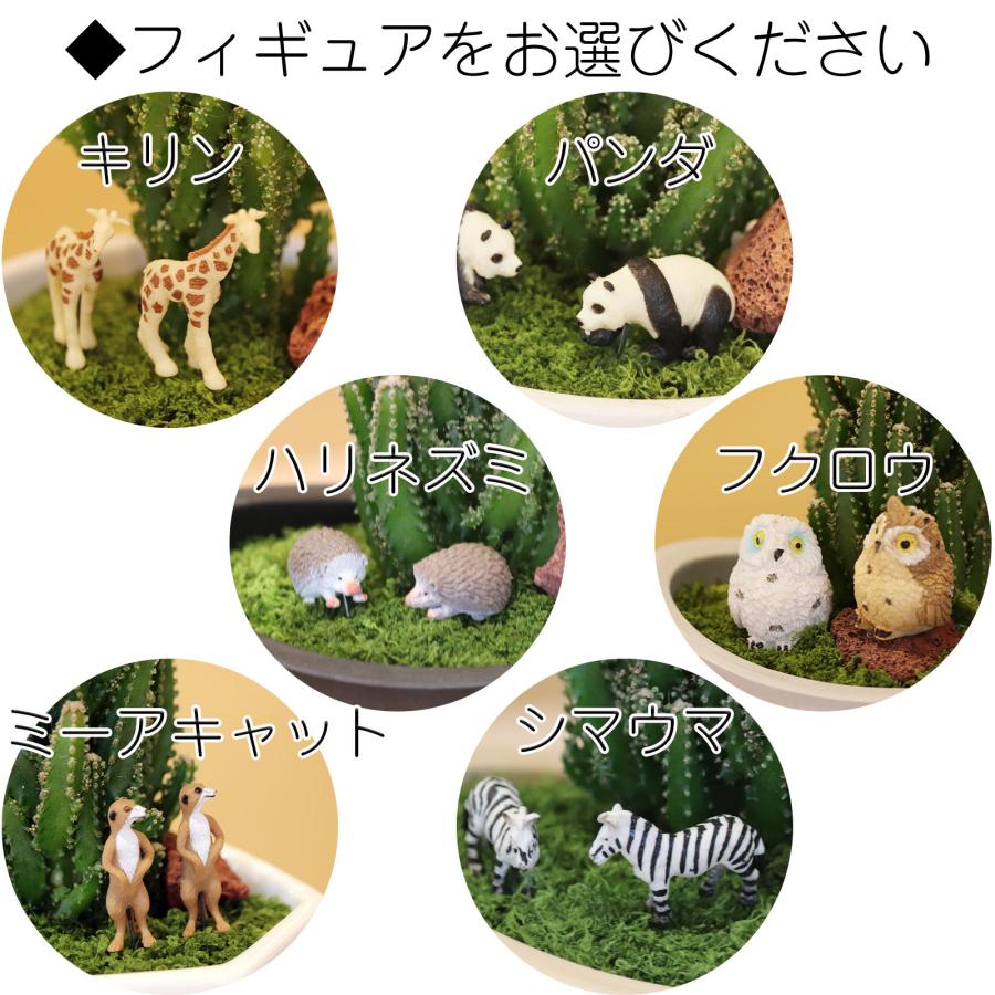 セレウスサボテンアレンジ G-17 アニマルフィギュアが選べる 器の色が
