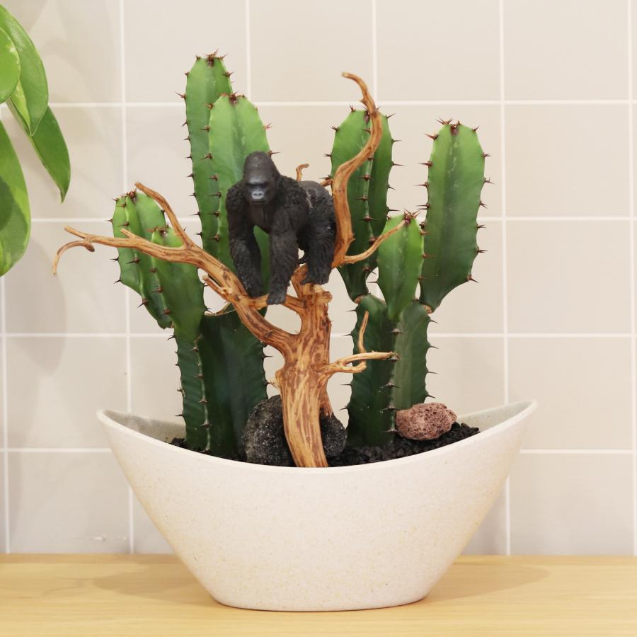 サボテンアレンジ G-20 フィギュアが選べる インテリア 多肉植物 サボテン 送料無料 寄せ植え ギフト | 
