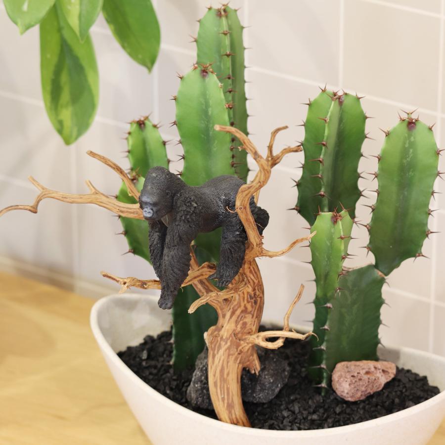 サボテンアレンジ G-20 フィギュアが選べる インテリア 多肉植物 サボテン 送料無料 寄せ植え ギフト |  | 01