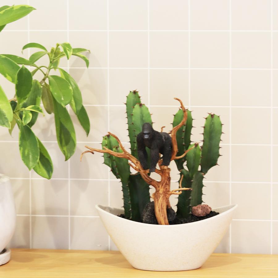 サボテンアレンジ G-20 フィギュアが選べる インテリア 多肉植物 サボテン 送料無料 寄せ植え ギフト |  | 02