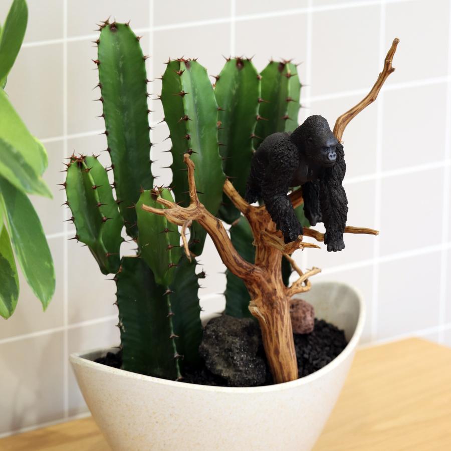サボテンアレンジ G-20 フィギュアが選べる インテリア 多肉植物 サボテン 送料無料 寄せ植え ギフト |  | 03