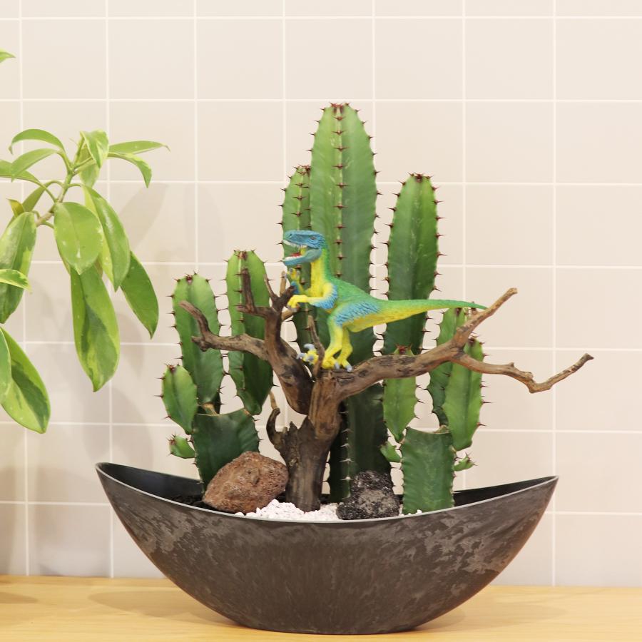 サボテンアレンジ G-21 フィギュアが選べる インテリア 多肉植物 サボテン 送料無料 寄せ植え ギフト | 