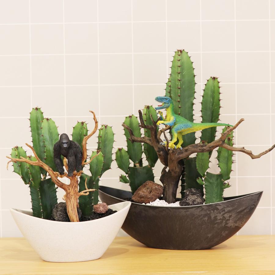 サボテンアレンジ G-21 フィギュアが選べる インテリア 多肉植物 サボテン 送料無料 寄せ植え ギフト |  | 05