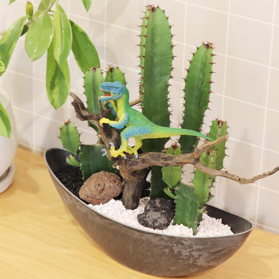 サボテンアレンジ G-21 フィギュアが選べる インテリア 多肉植物 サボテン 送料無料 寄せ植え ギフト |  | 01