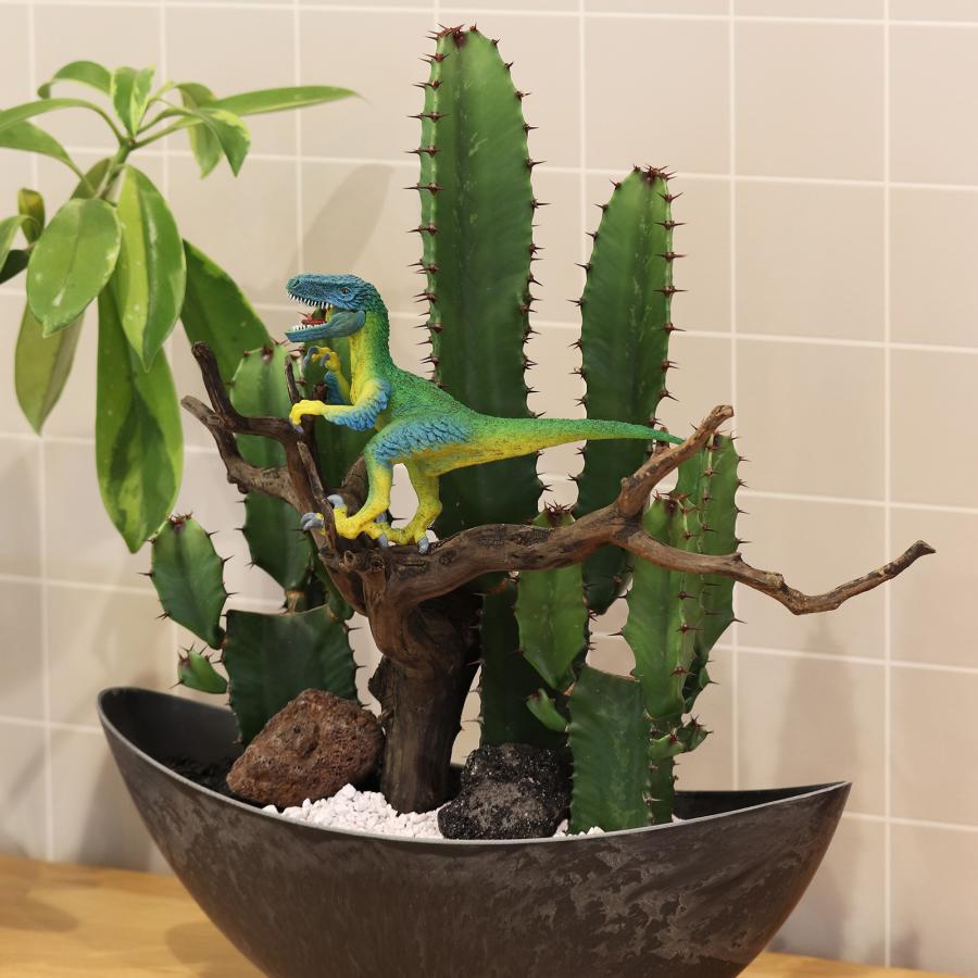 サボテンアレンジ G-21 フィギュアが選べる インテリア 多肉植物 サボテン 送料無料 寄せ植え ギフト |  | 02