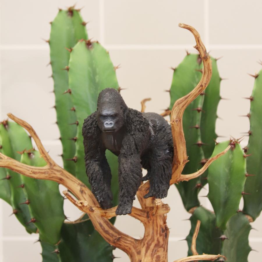 サボテンアレンジ G-21 フィギュアが選べる インテリア 多肉植物 サボテン 送料無料 寄せ植え ギフト |  | 03