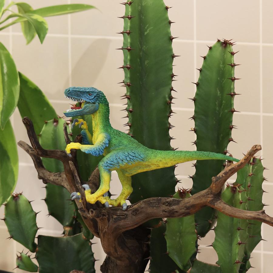 サボテンアレンジ G-21 フィギュアが選べる インテリア 多肉植物 サボテン 送料無料 寄せ植え ギフト |  | 04