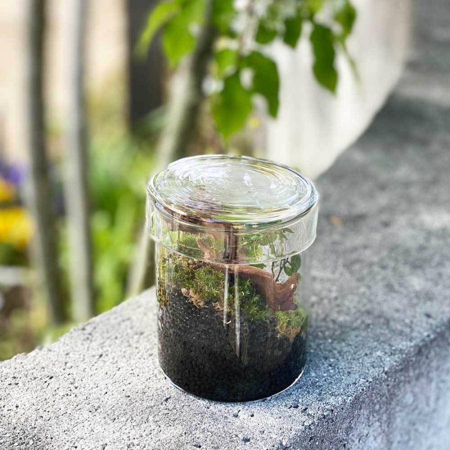 観葉植物 おしゃれ 室内 育てやすい コケリウムo アニマルが選べる苔テラリウム 多肉植物 コケリウム サボテン 瓶 送料無料 Htg 京阪園芸 Paypayモール店 通販 Paypayモール