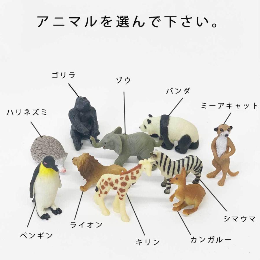 可愛いシマウマのコケリウム 【公式通販】